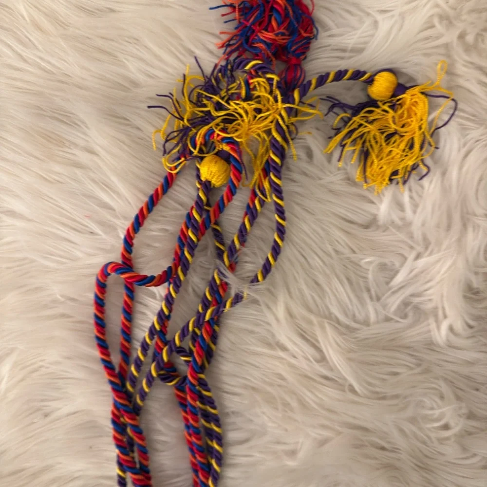 Multicolor Graduation Cords | university honor tassels cords - Picture 4 of 4